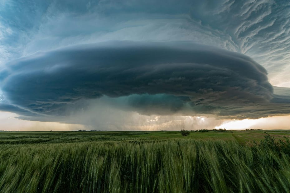 Natural Disaster Survival